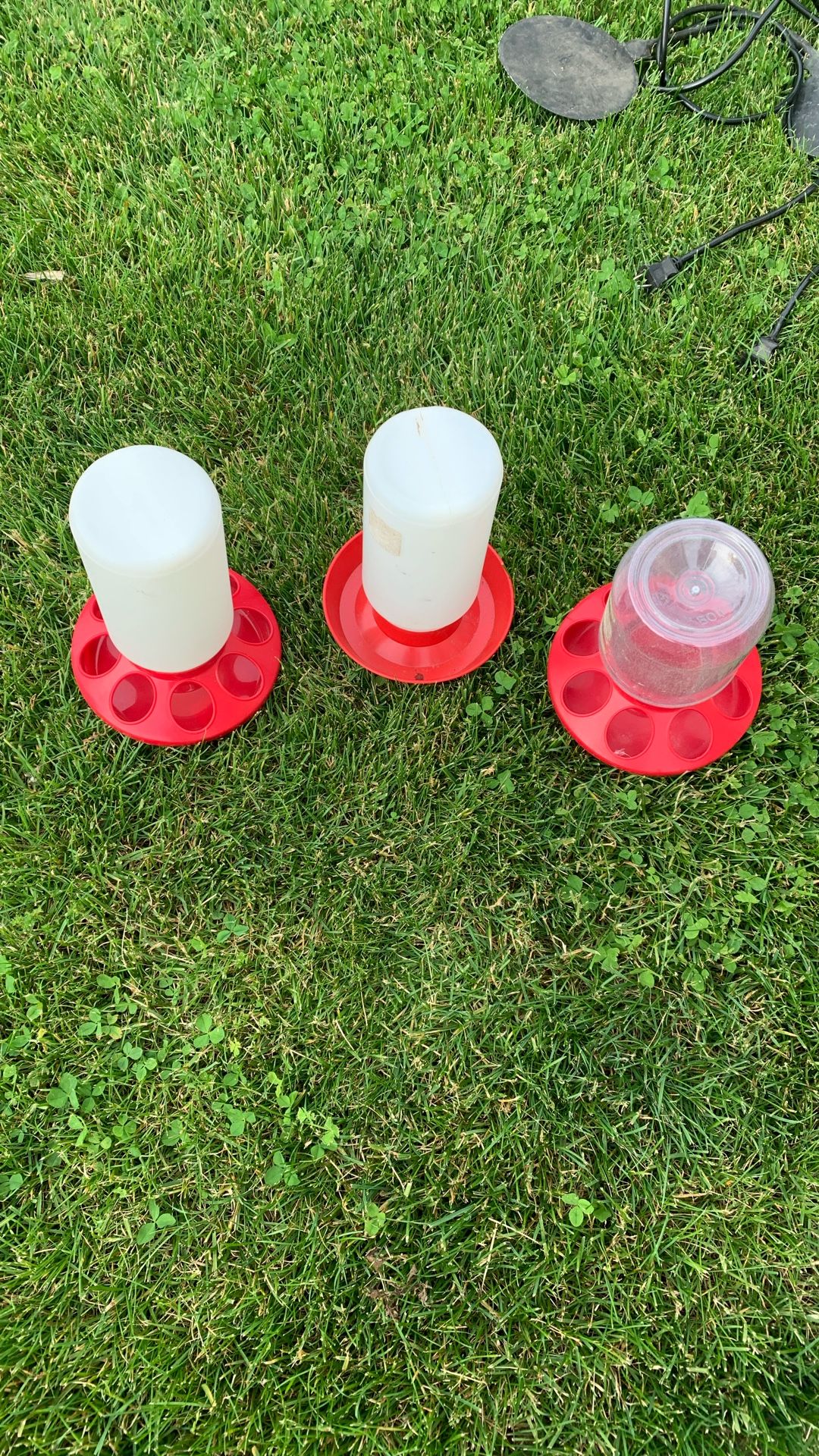 Feeders And Waterers