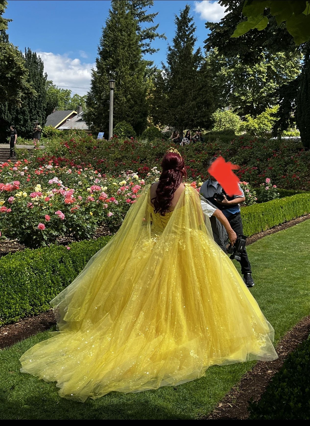 Quinseañera Dress