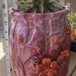 Ceramic Pots with Pink Aeonium Crested and Cluster 