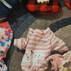 Male/Female Puppy Clothes & Ladies Clothes