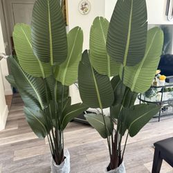 Pretty Artificial Plant 6 Ft Tall Set Of 2 ! Brand New