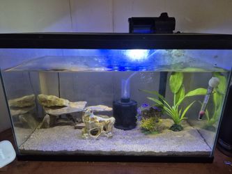 10 G Aquarium