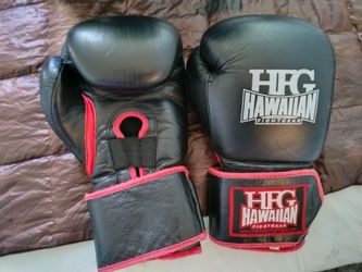 Hawaiian Fight Gear HFG Boxing Gloves