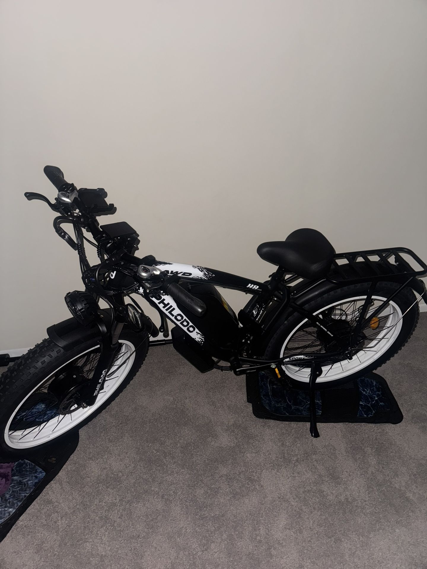 Ebike Dual Motor 2000w