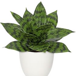 Hollyone Artificial Snake Plants 9" Faux Agave Succulent Plant Potted in White Pot Fake Sansevieria Aloe Tropical Plant for Desk Modern Office Home Ba