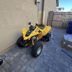 Can Am Ds-250