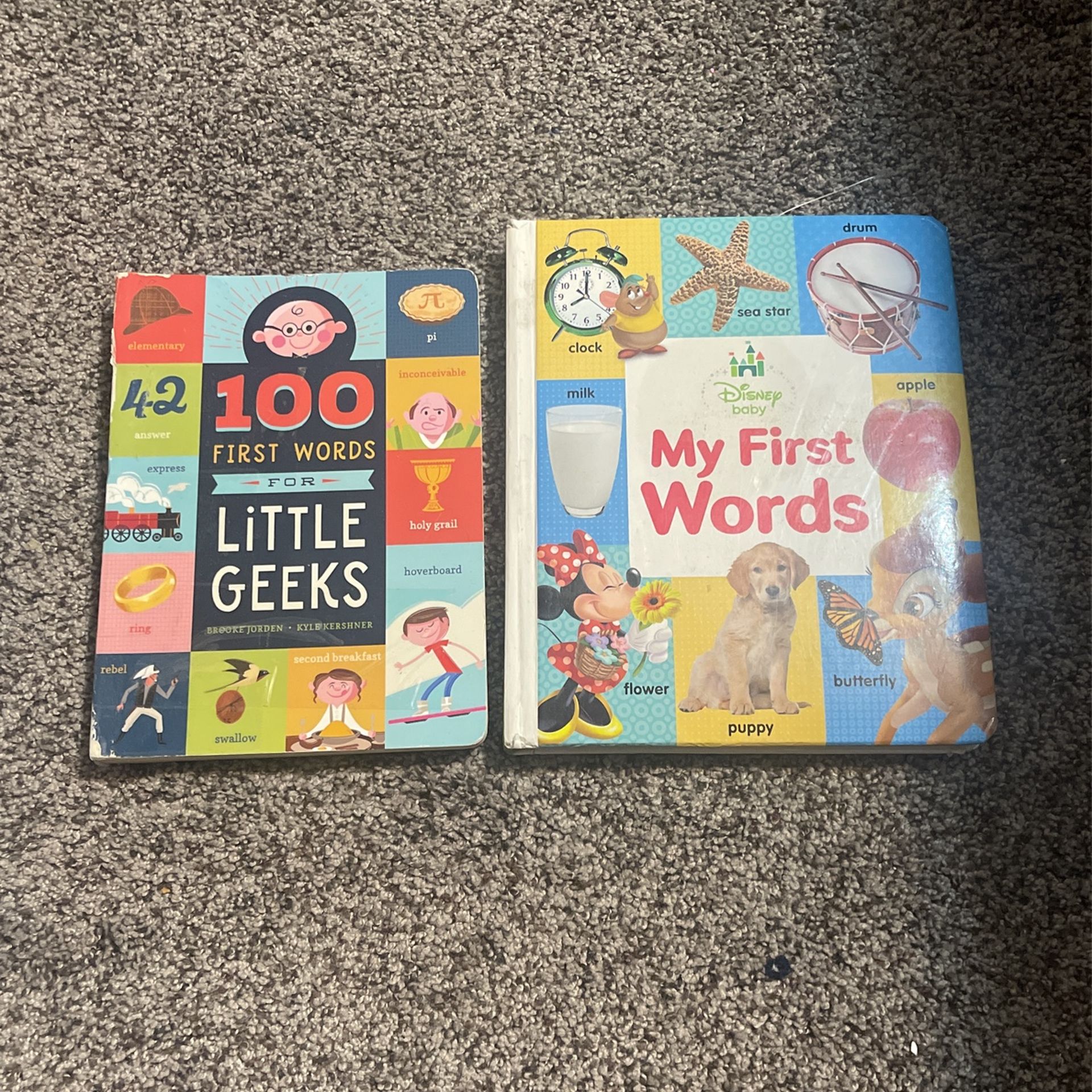 2- My First Word Books