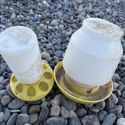 Baby Chick Feeder And Waterer