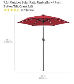 Umbrella 