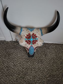 Cow Skull