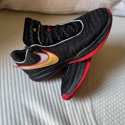Lebron XX “Trinity” Mens Size 10.5