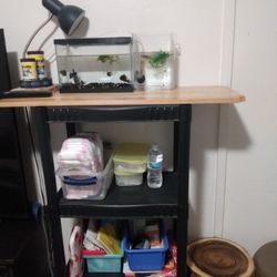 Fish Tanks & Stand 