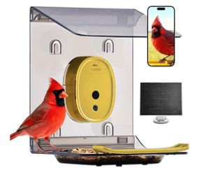 Smart bird feeder