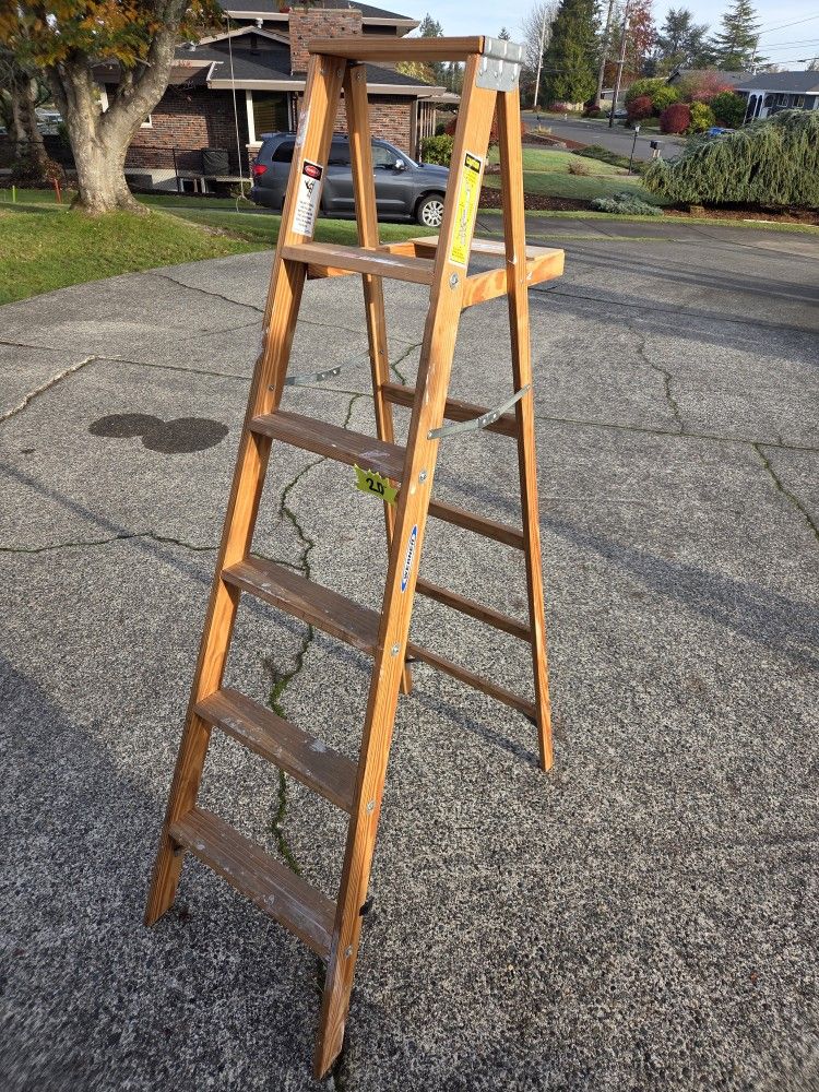 Werner Step Ladder