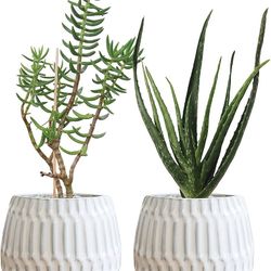 Ceramic Indoor Flower Pots for Plants – Indoor Garden Planters with Drainage Holes – Set of 2 - Beautiful Small Plant Pots - White 