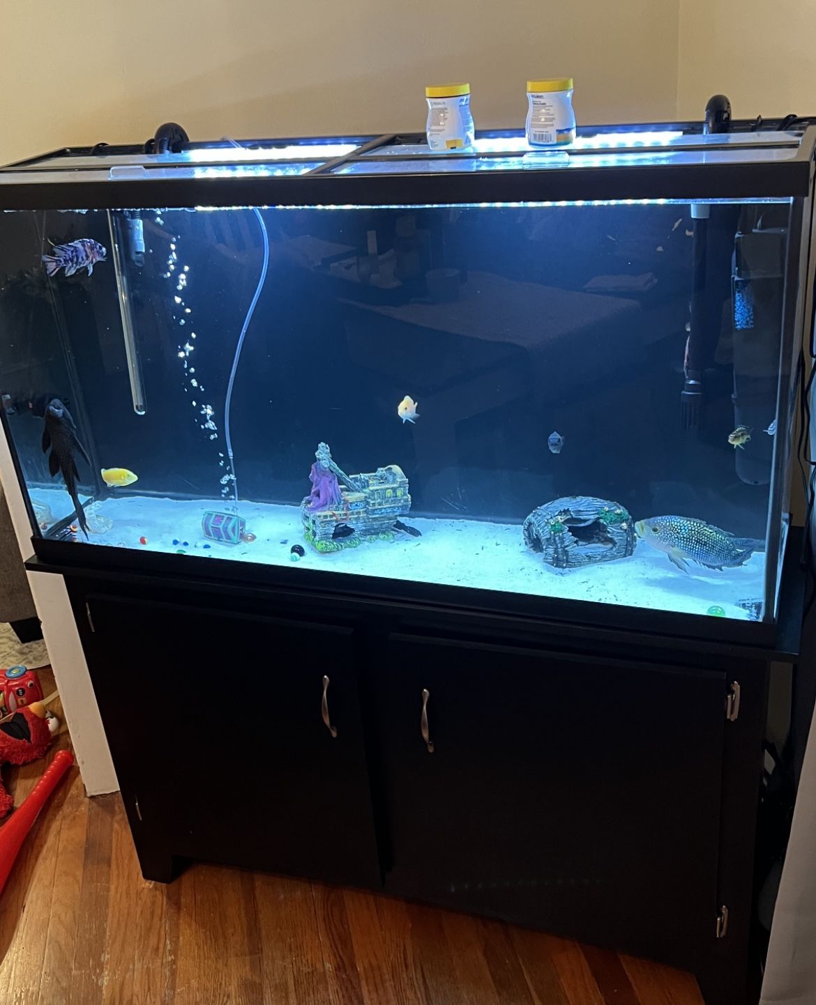 65 Gallon Fish Tank 