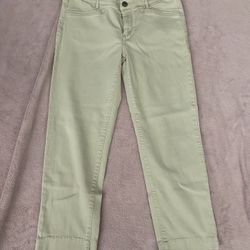 Khaki Jeans 