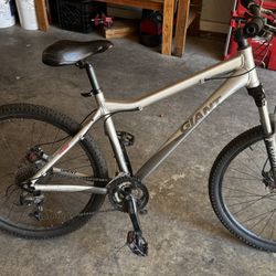 Bike Giant 26
