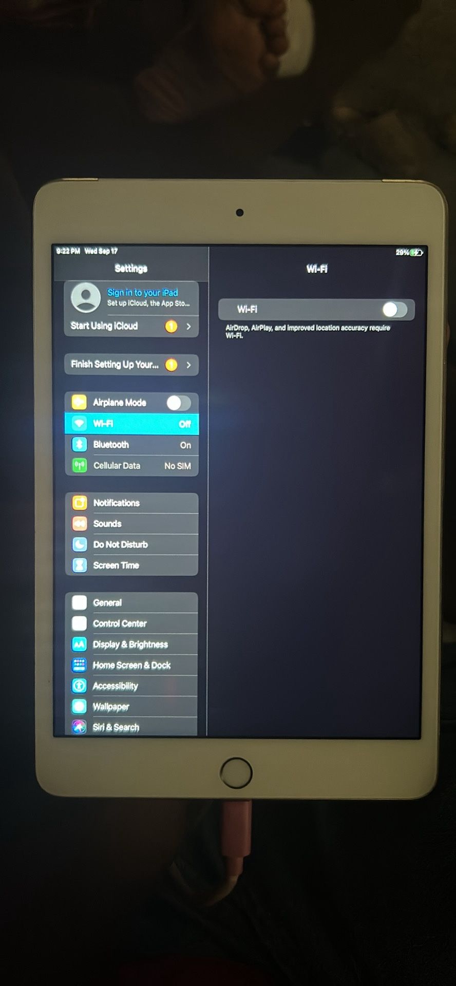 iPad Mini 4 128 GB
