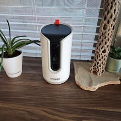 Waggle Dog Camera & Treat Toss