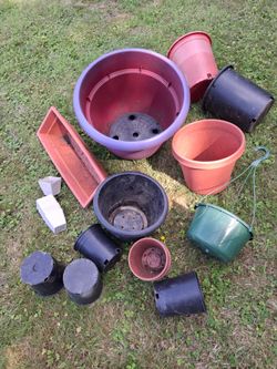 Flower pots-price for all! (C)