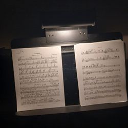 Music Stand Lamp 