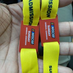 NASCAR 2024 Sunday General Admission 