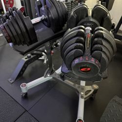 Bowflex 1090 Adjustable Dumbbells + Stand