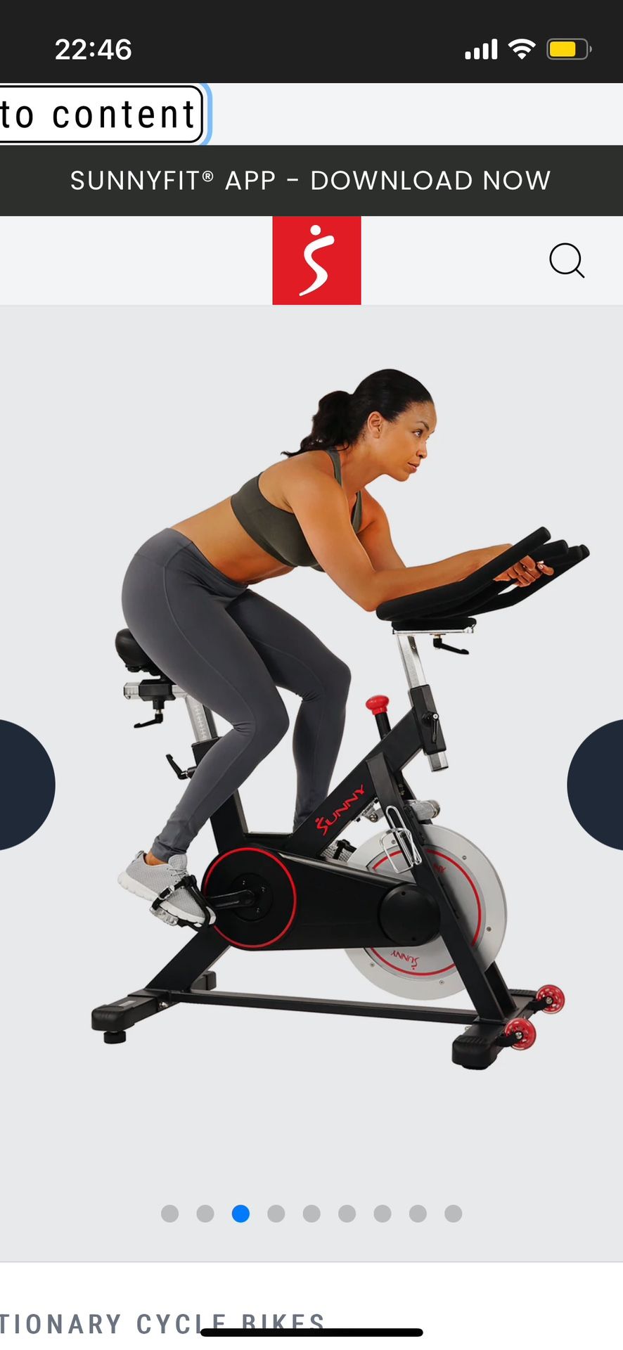 Sunny Brand Indoor Exercise Bike