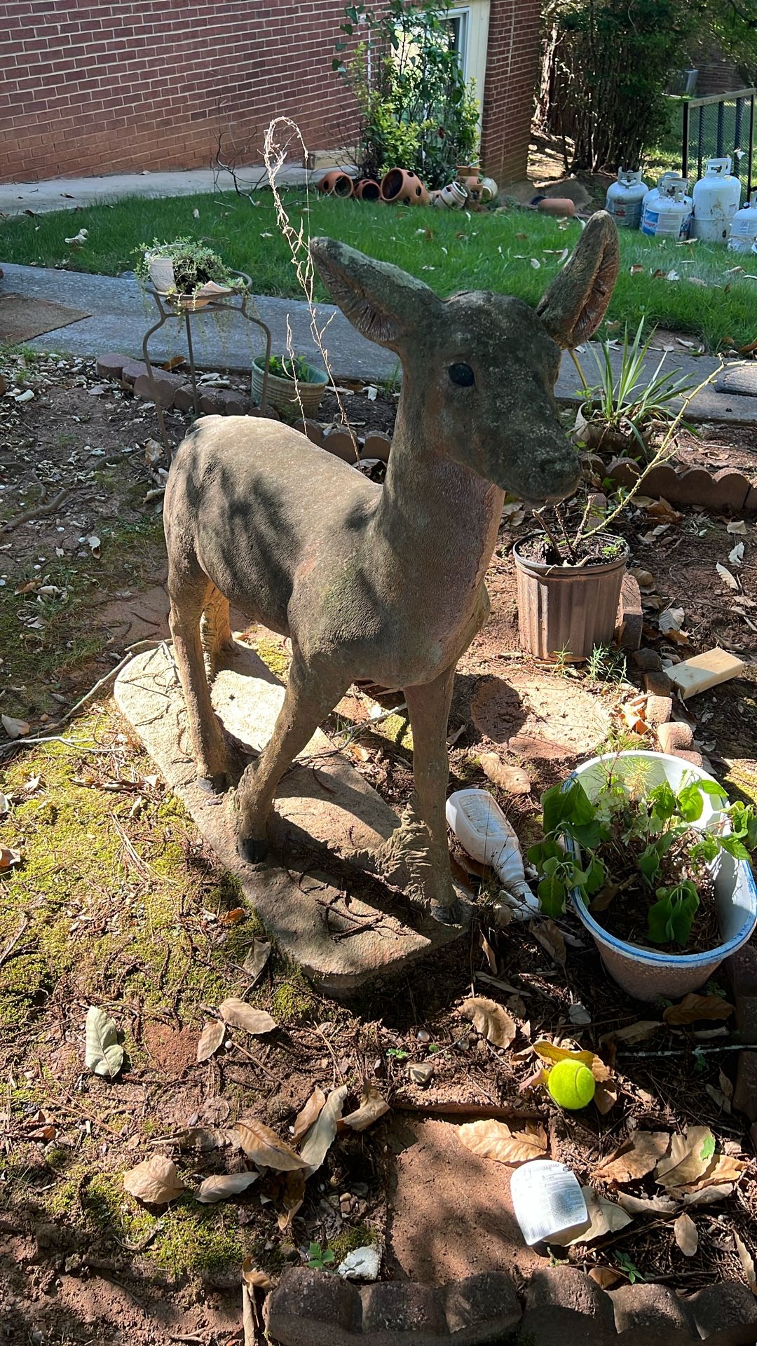 Deer Cement