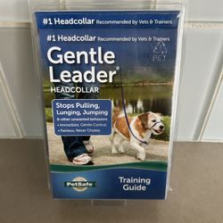 Leash, Leader Leash For Large Dog 