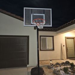 Lifetime Basketball Hoop