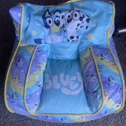 Bluey Bean Bag Chair 