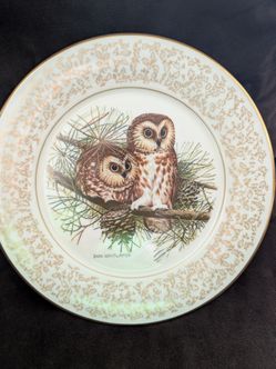 Limited Edition Saw-Whet Owls Don Whitlatch Plate