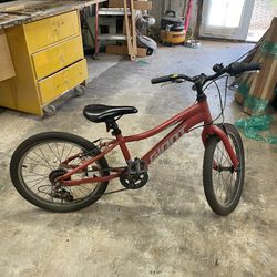Kids 20” Giant Brand Talon bike, excellent condition