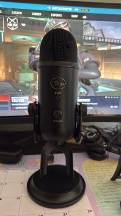 Blue Yeti Mic Works