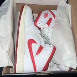 Limited Edition Jordan Dunks 