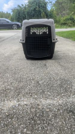 Medium/Large Plastic Pet Carrier