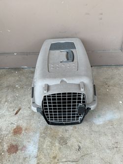 Pet Carriers