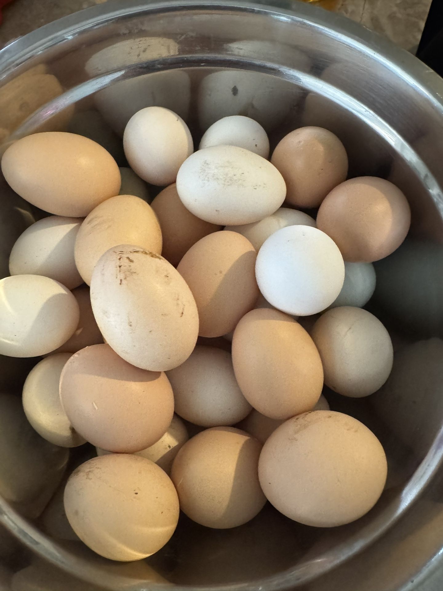 Fresh Organic Eggs