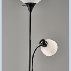 Black Floor Lamp w/ Reading Light