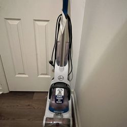 Hoover Pet Cleaner