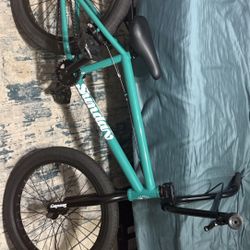 20” Inch Bmx Bike