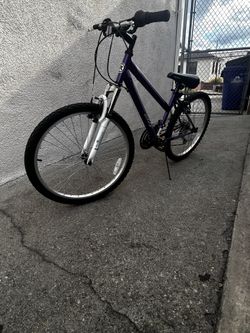 RoadMaster 24 Granite R4