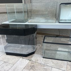 Several Small Fish Tanks/Aquariums/Terrariums For Sale Starting At $5!