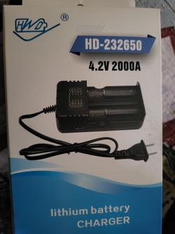 Lithium Battery Charger