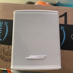 Bose 300 Surround Sound Speaker - 1 speaker only