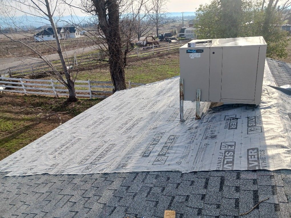 Trabajo De Roof