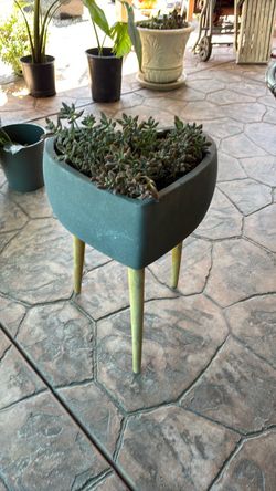 USED HEART SHAPE PLANTER W/SEDUM