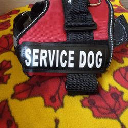 Service Dog Harnest